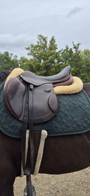Selle mixte