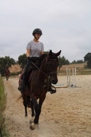 Hongre 9 ans à vendre