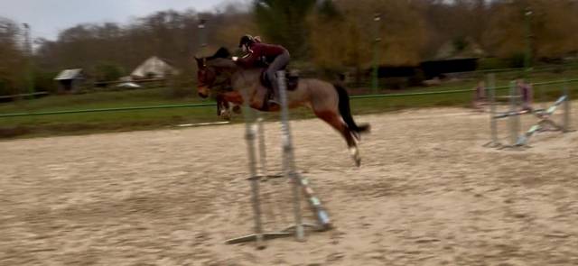 Eureka d helby avec un excellent coup de saut