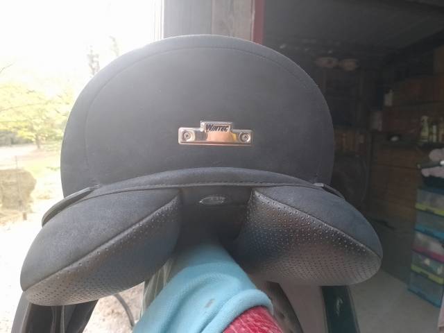 Selle isabelle werth