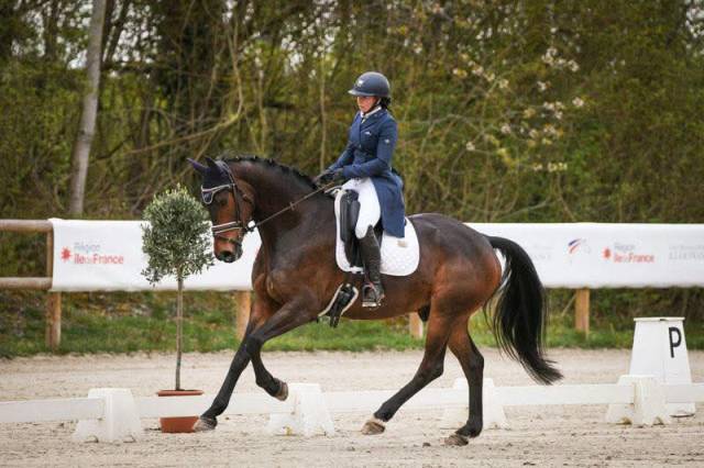 Enseignante d’équitation –responsable de structure