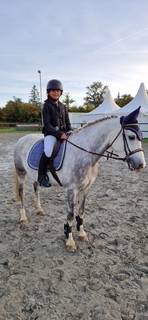 ? à vendre - heliott - poney d de 1m47 - 9 ans?