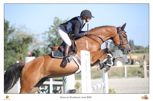 Cheval idéal pour hunter ou cso