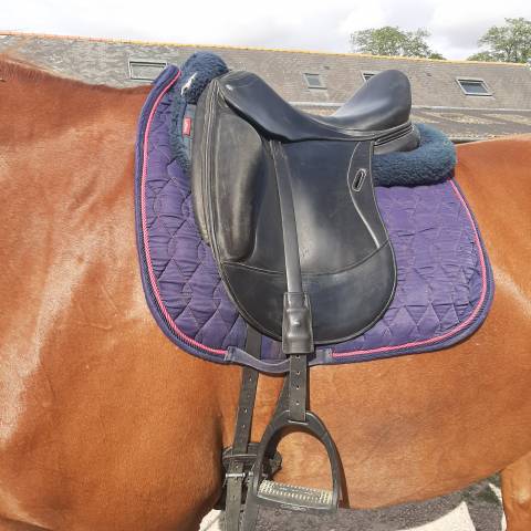 Selle dressage