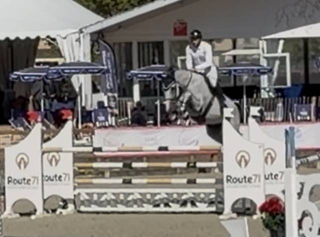 Hongre sf de 7 ans , sans faute 130 moyens 145