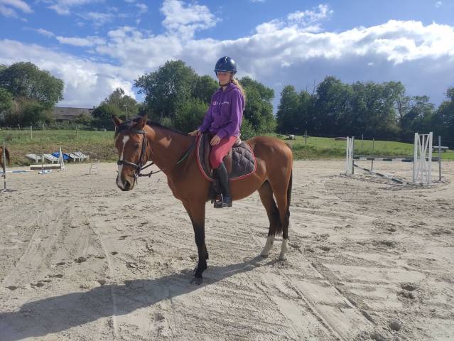 Naguini, jeune cheval prometteur ✨