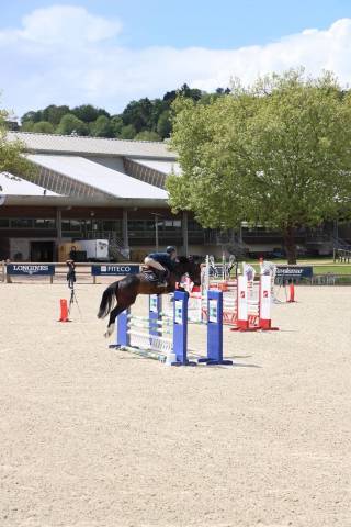Superbe jument de concours
