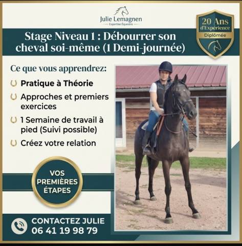Debourrer son cheval 