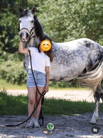 Gentil poney d