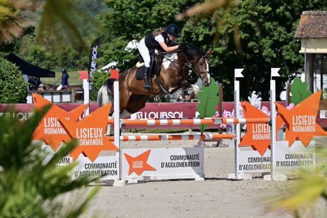 Hongre potentiel 135