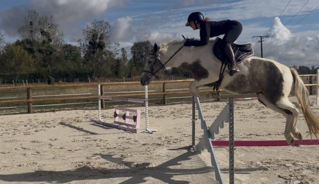 Ponette connemara 