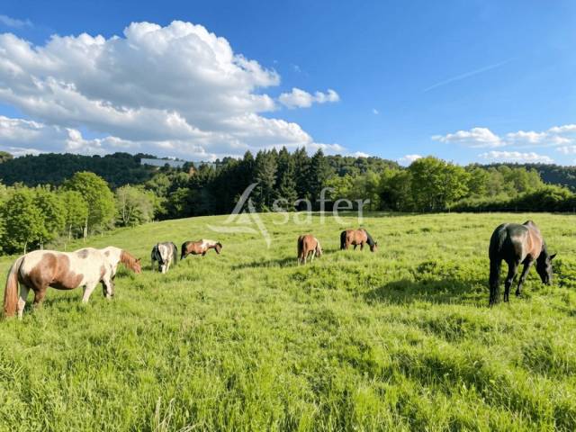 Propriété équestre 20ha proche castres