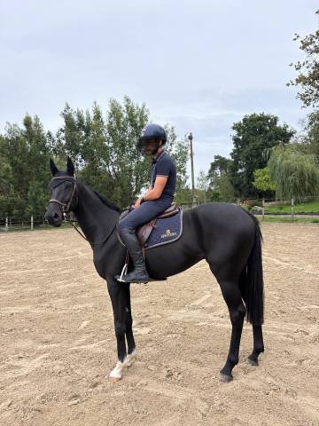 Jeûne cheval 