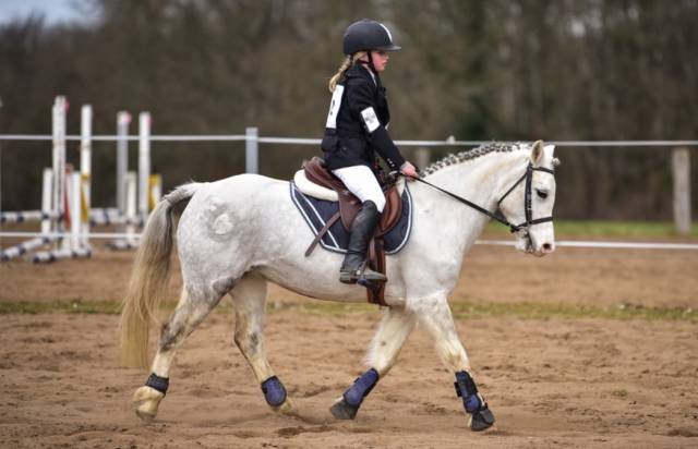 Ponette welsh bmax 11 ans 