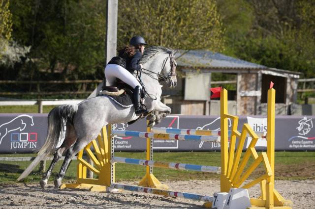 à vendre ponette gros potentiel - iris de crasville