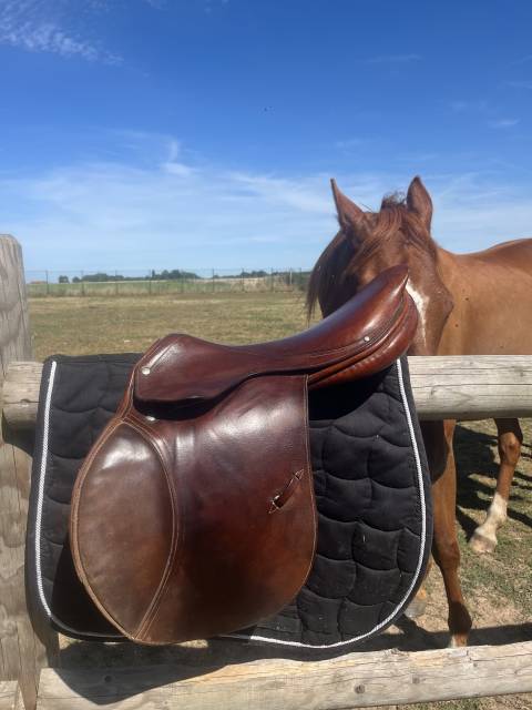 Selle delgrange 17,5