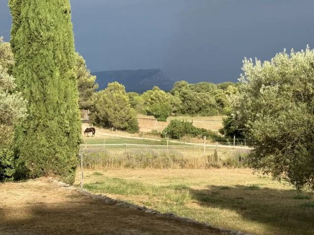  demeure 300 m², 3 ha, piscine, voisine écuries