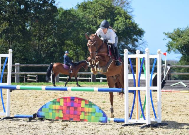 Lancelot d'euro - 5 ans grand d