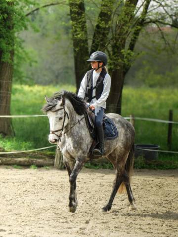 Kallas du chapelan – pfs 148 cm – 6 ans – cso