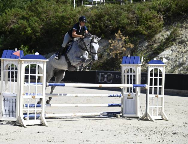 Hongre 7ans - sf