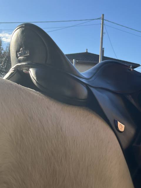 Salle dressage bates wide