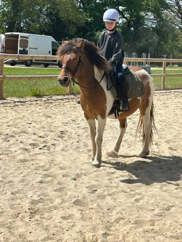 Jerry poney c 