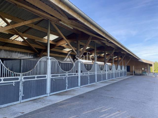 Ecurie pour chevaux de sport - côte fleurie