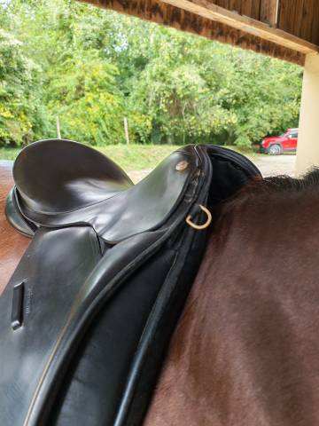 Selle euroriding diamant 17.5