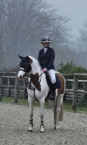 Poney de cso 9 ans
