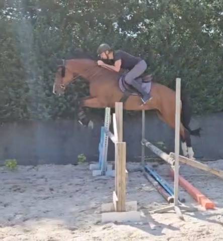 A confier ou à vendre
