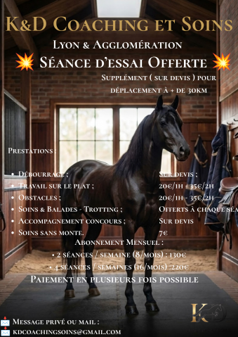 ✨ kd coaching & soins — l'excellence équestre à lyon et