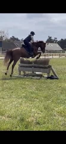 Ponette de 7ans