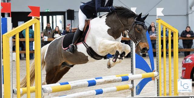 Poney de famille/ sport