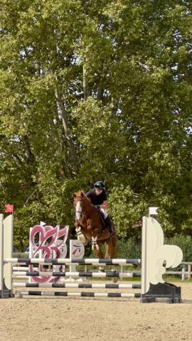 4 ans cso cce 