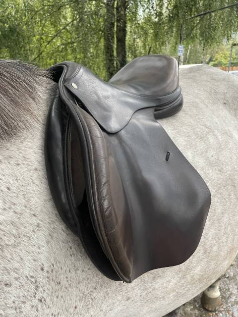Selle italienne gianetti