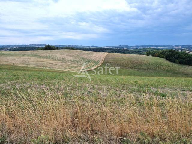 Exploitation élevage et grandes cultures 120ha tarn