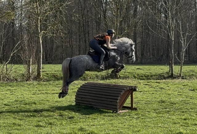 Loc poney