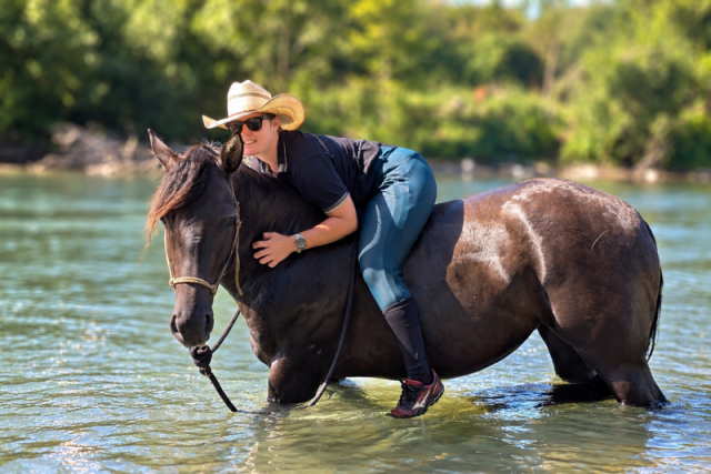 Kala - quarter horse grullo