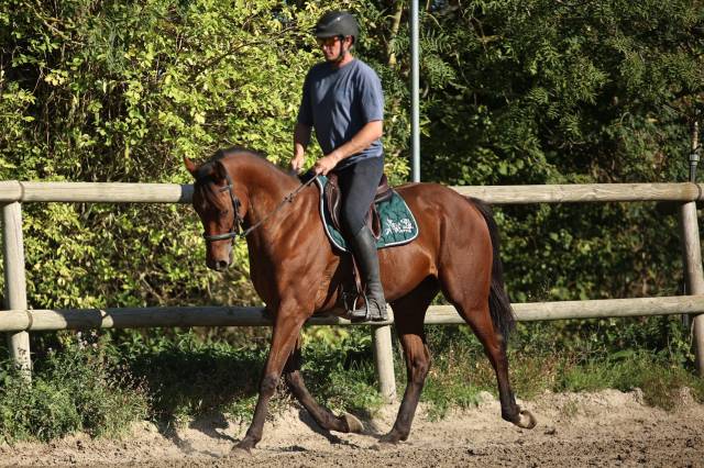 Georges - 3ans (4 en janvier) - 1m62