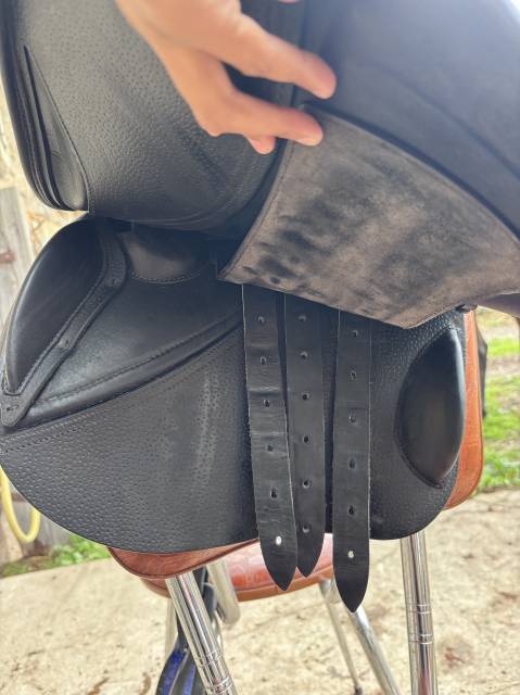 Selle gbs