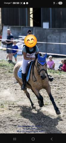 Super poney