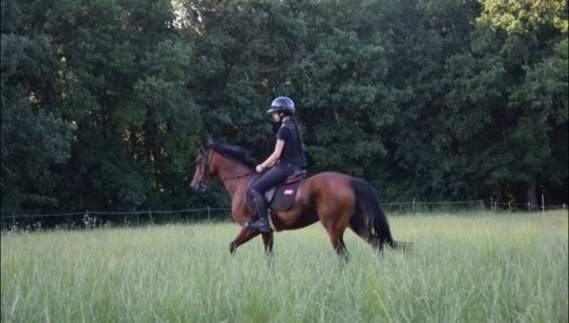 Ponette