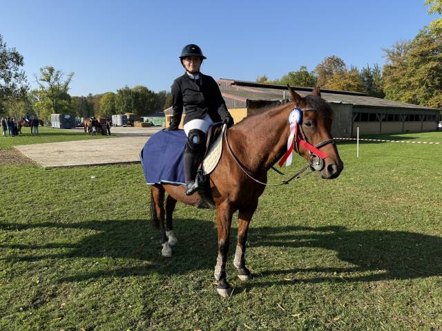 Poney à louer