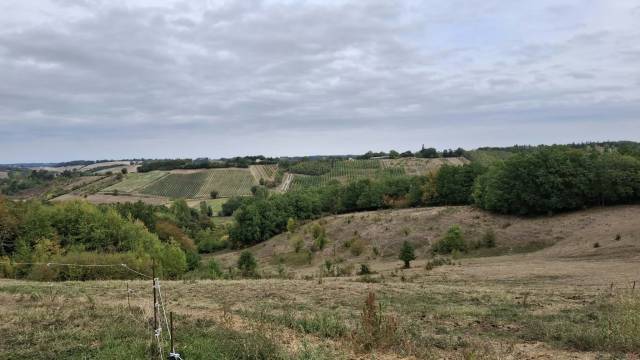 Propriété à vocation équestre. carrière + 5ha