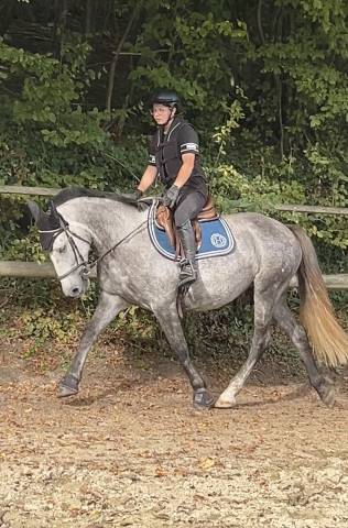 Dp poney d