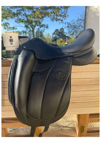La aachen forestier dressage 