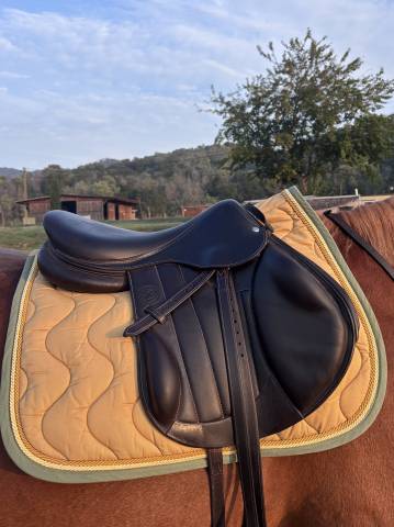 Selle forestier monoquartier boeckelo