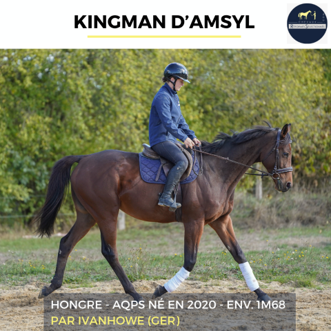 Kingman d'asmyl