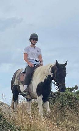 Hongre pinto 6 ans 1,56m