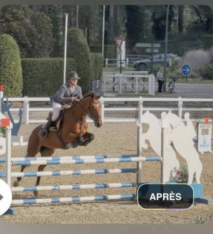Jument z cso 7 ans 